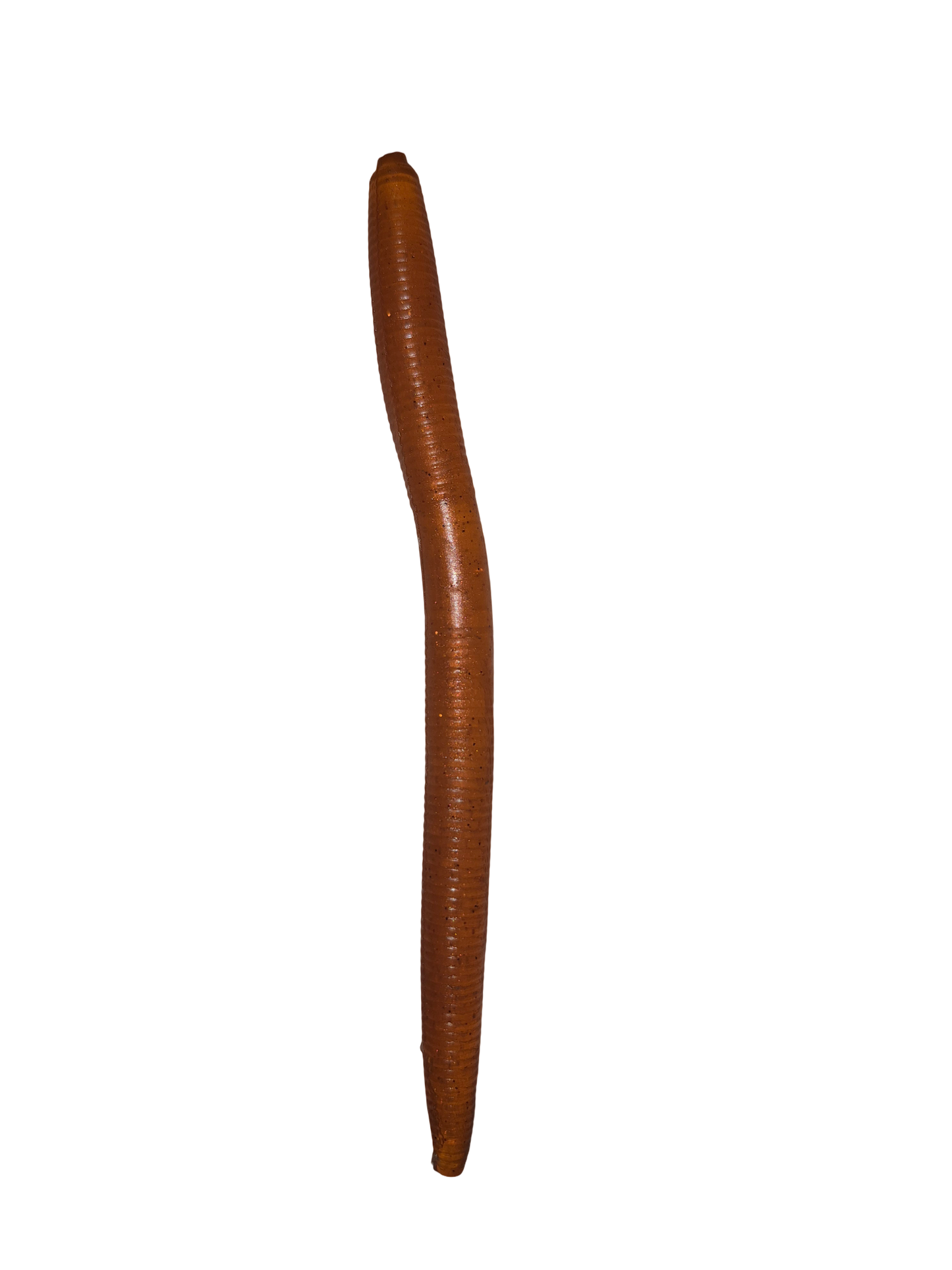 5" Soft Plastic Wiggle Worms (Pack of 10)
