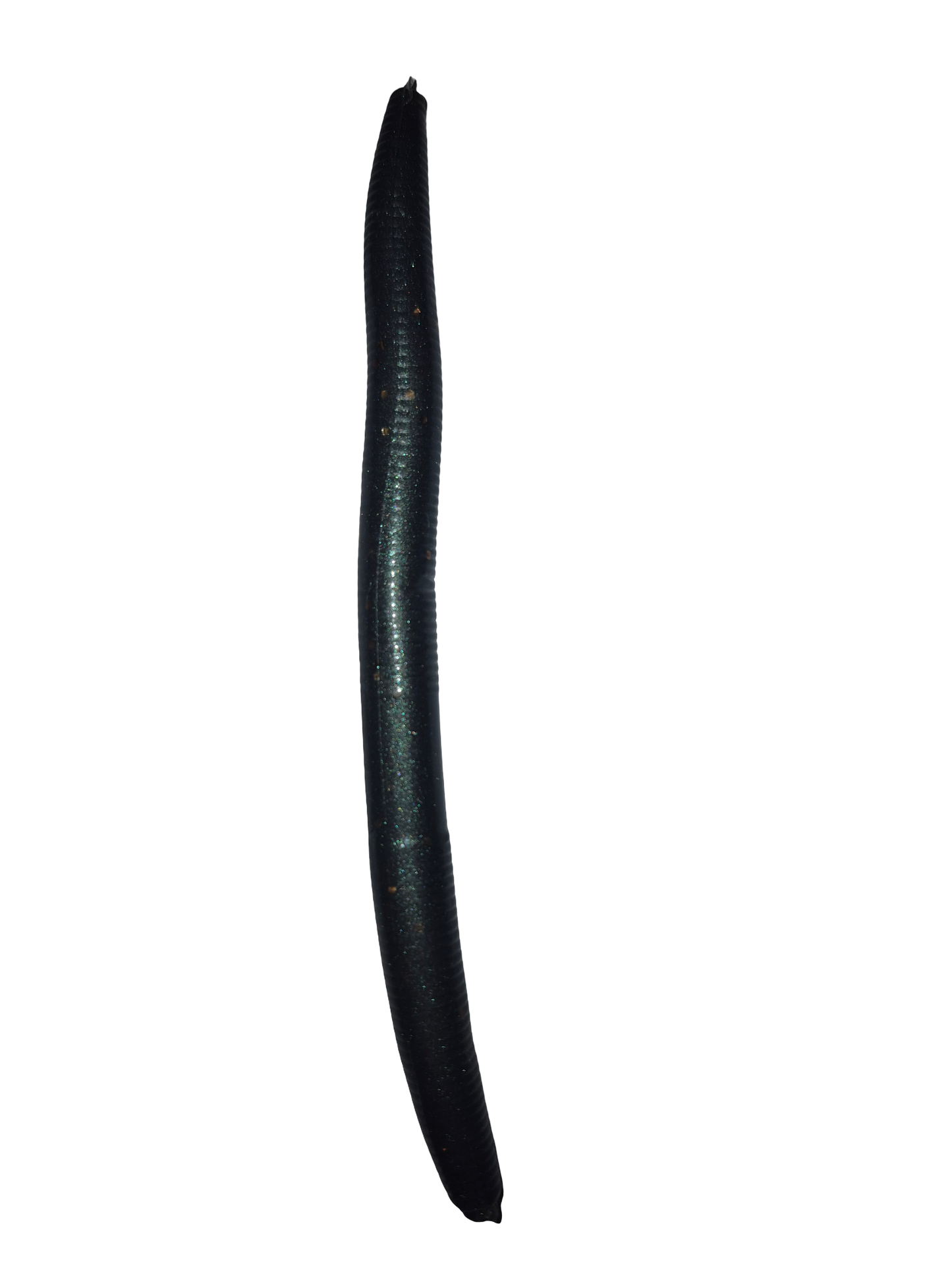 5" Soft Plastic Wiggle Worms (Pack of 10)
