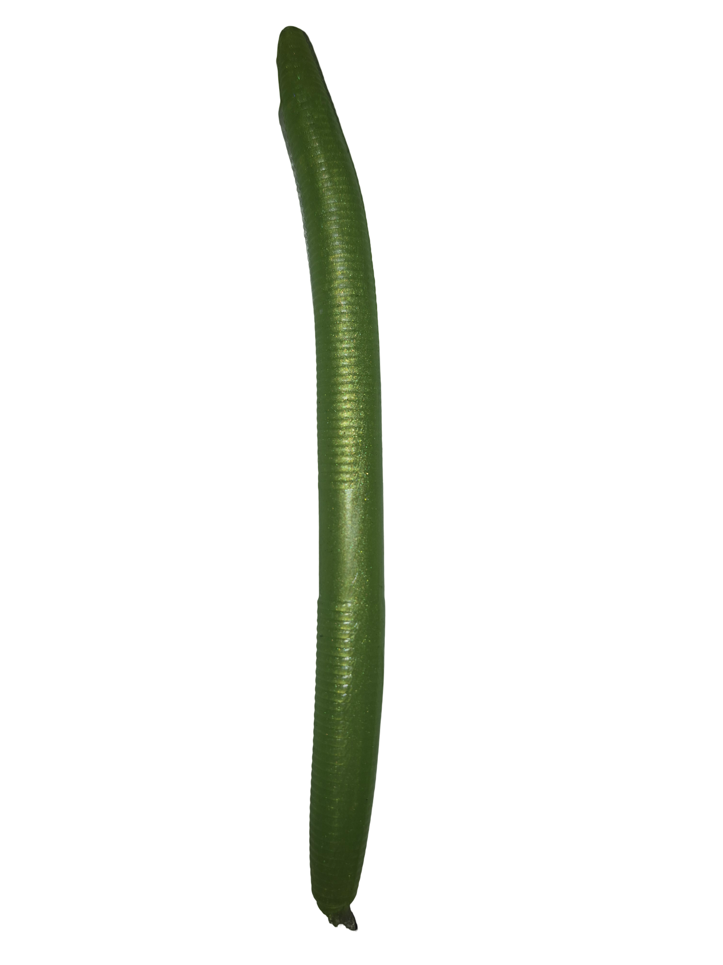 5" Soft Plastic Wiggle Worms (Pack of 10)